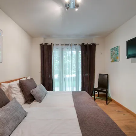 Hot Tub And Bbq Lodge 1 Apartment Champery